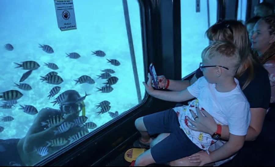 Hurghada: Royal Seascope Submarine cruise with Snorkel stop - Who this Royal Seascope trip fits best