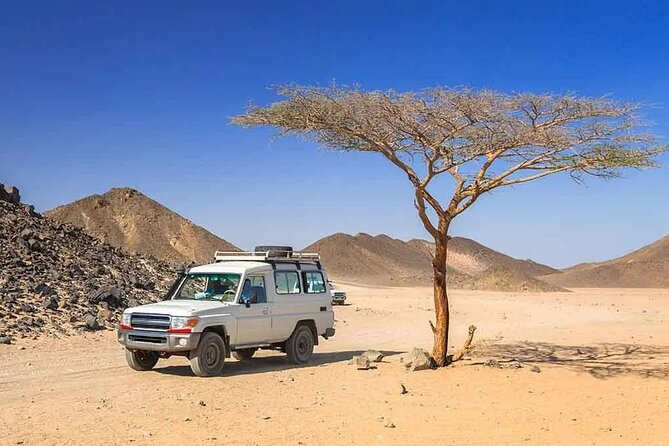 Hurghada: Safari 4x4 Jeep, Camel Ride, Dinner & Star Watching - Price and Value: Is $40 a Smart Buy for This Much Evening?