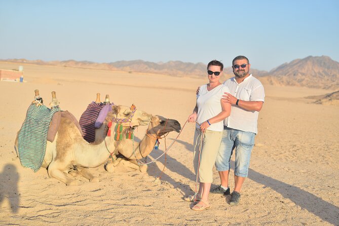 Hurghada: Safari 4x4 Jeep, Camel Ride, Dinner & Star Watching - Camel Ride Interlude: Quick, Scenic, and Very Low Pressure