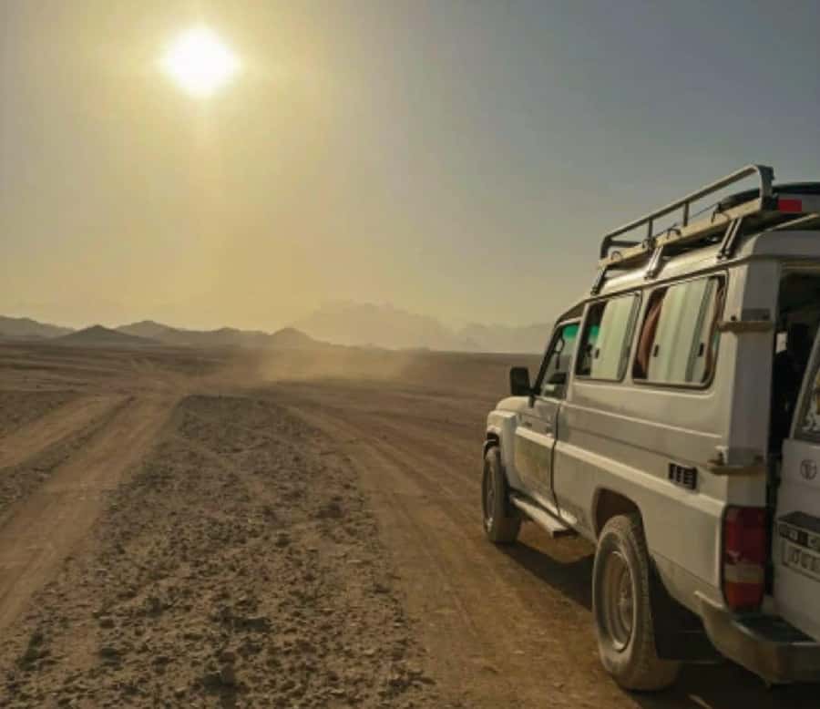 Hurghada: Safari Jeep & Camel Ride with BBQ Dinner & Show - Camel ride in the desert: short time, big payoff