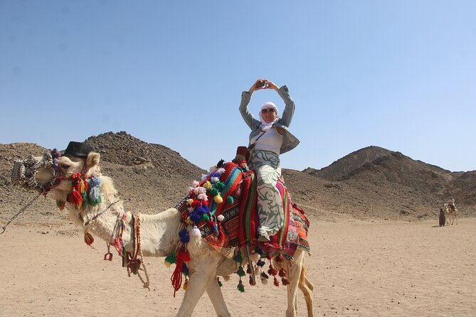 Hurghada Safari Quad and Camel Ride with Night Show and Dinner - Price and extras: how to avoid surprise add-on costs