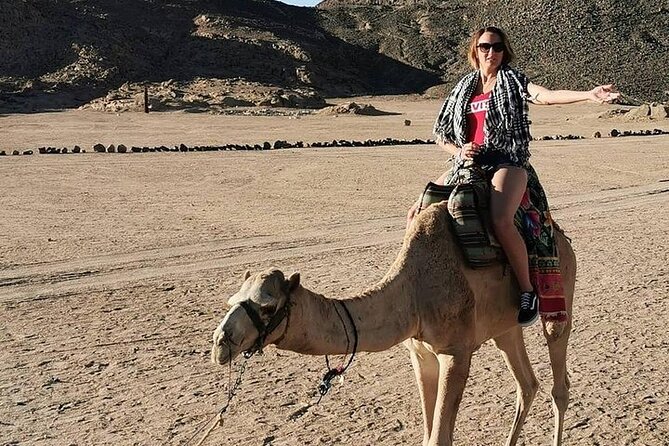 Hurghada Safari Trip Quad, Buggy, Jeep, Camel, Dinner, and Show - The desert mix: quad, buggy, jeep, and camel in one flow