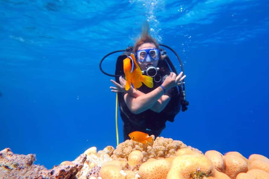 Hurghada: Scuba Diving cruise with lunch & pickup - Key things worth knowing before you book