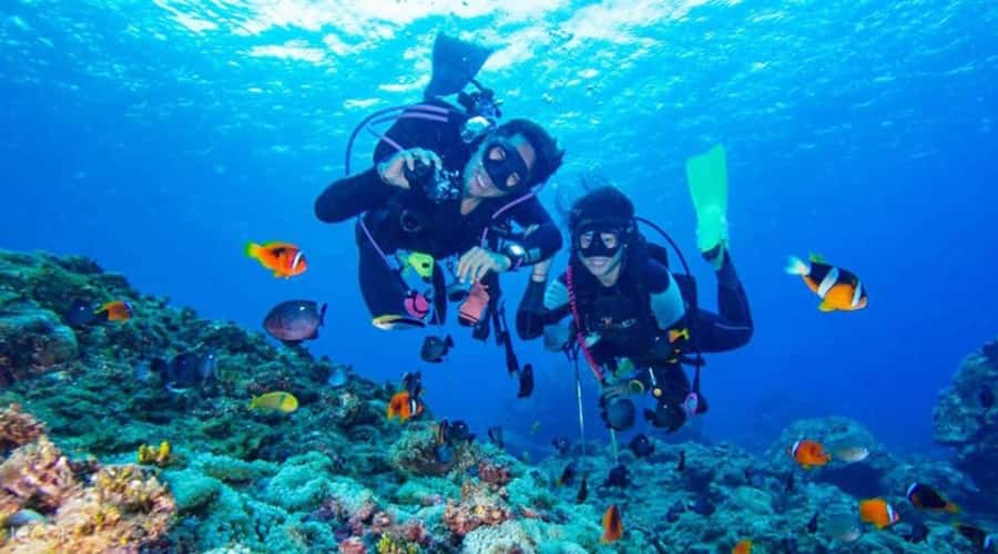 Hurghada: Scuba Diving cruise with lunch & pickup - Hurghada Pickup to Marina: The 6-Hour Rhythm