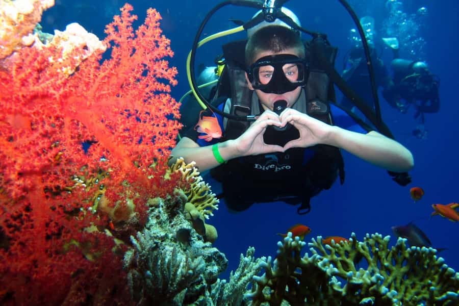 Hurghada: Scuba Diving cruise with lunch & pickup - Reef Stops Off Abu Ramada and Small Giftun Island