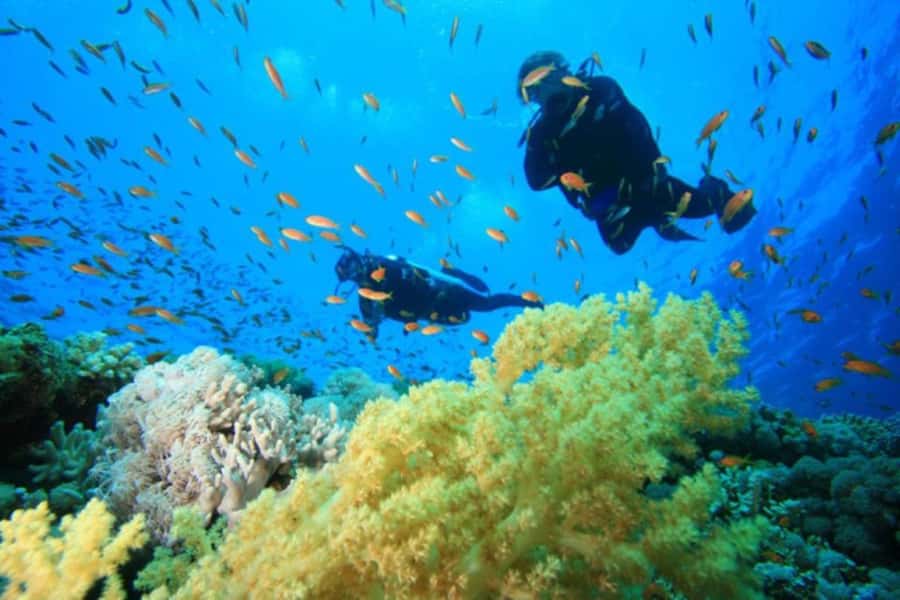 Hurghada: Scuba Diving cruise with lunch & pickup - Photos and Extra Charges: Don’t Let It Catch You Off Guard