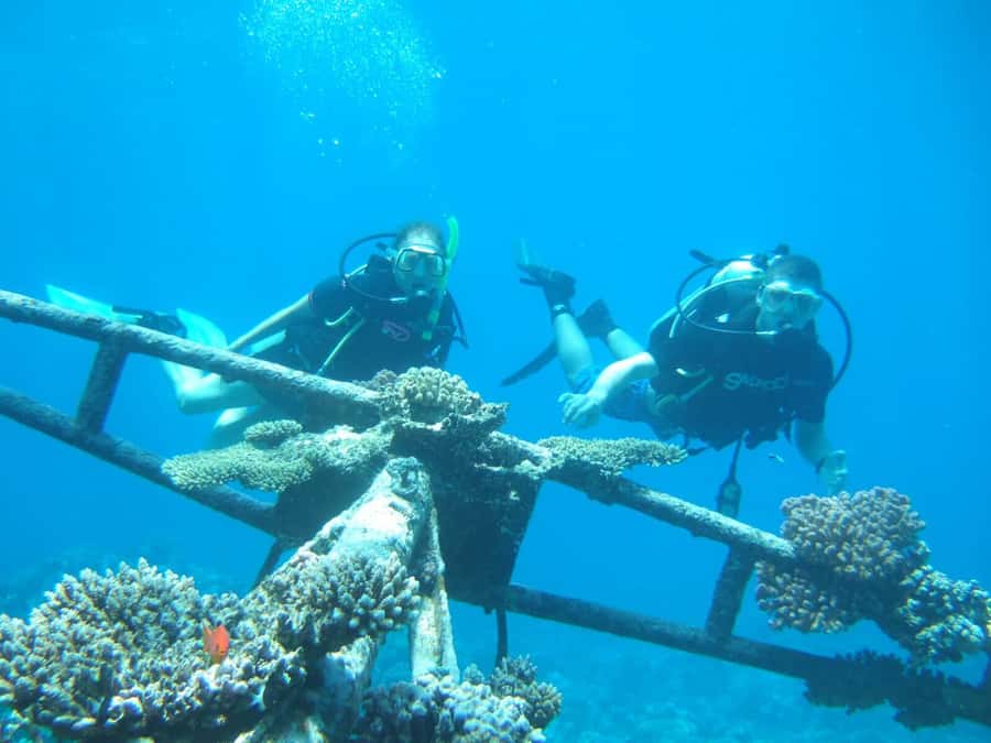 Hurghada Scuba Diving Trip with Pick-up, Lunch - Price and value: is $68 a fair deal?
