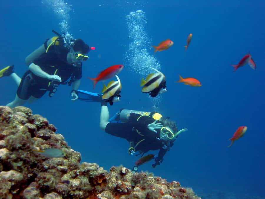 Hurghada Scuba Diving Trip with Pick-up, Lunch - Hurghada on the water: what this trip is really about