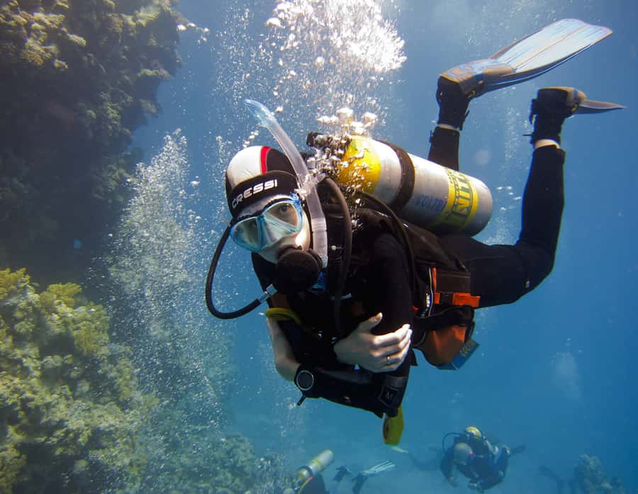 Hurghada Scuba Diving Trip with Pick-up, Lunch - From van to boat: how the day starts without wasting time