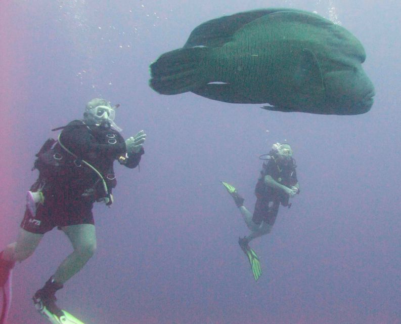 Hurghada Scuba Diving Trip with Pick-up, Lunch - Gear and instructor support: included equipment, plus a cash fee