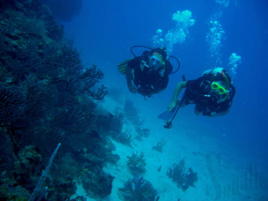 Hurghada Scuba Diving Trip with Pick-up, Lunch - The 7-hour schedule: pickup, briefings, two sessions, and back again