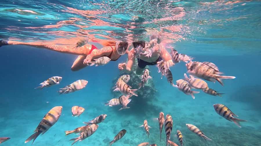 Hurghada: Snorkelling Trip by Speedboat with Hotel Pickup - Should you book? My practical verdict