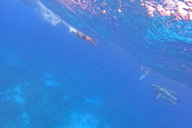 Hurghada Speedboat Dolphin Watching and Snorkeling - Weather, Sea Conditions, and When the Day Can Shift
