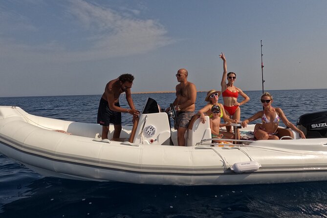 Hurghada Speedboat Dolphin Watching and Snorkeling - The Dolphin House Trip: How the 90 Minutes Works
