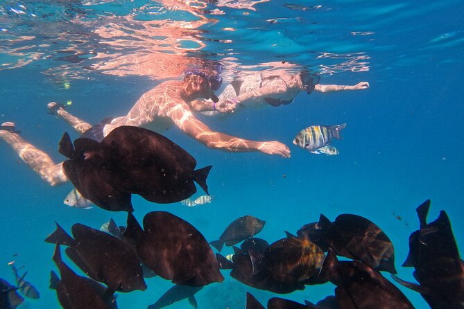 Hurghada Speedboat Trip to Orange Bay and Magawish Islands - Price and Value: Where the Money Is Going