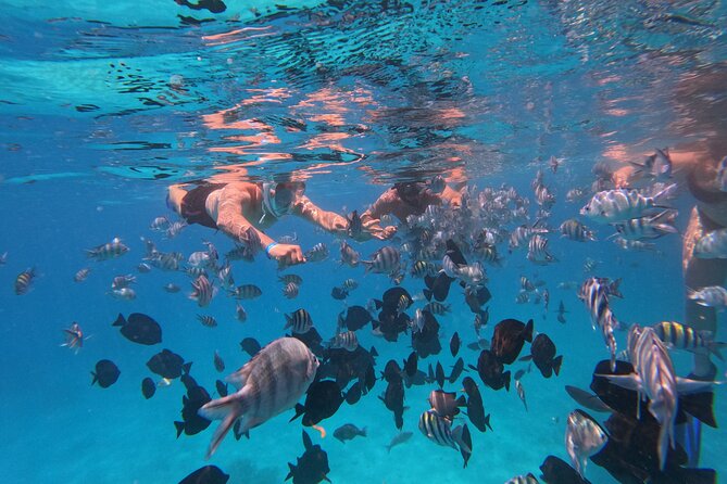 Hurghada Speedboat Trip to Orange Bay and Magawish Islands - Hotel Pickup, Boat Timing, and How the Day Feels