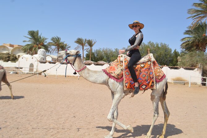 Hurghada: Stargazing, Camel Ride, Quad Bike, Bedouin Dinner, Show - The Bedouin Village: Camel Time, Photos, and Real Conversation