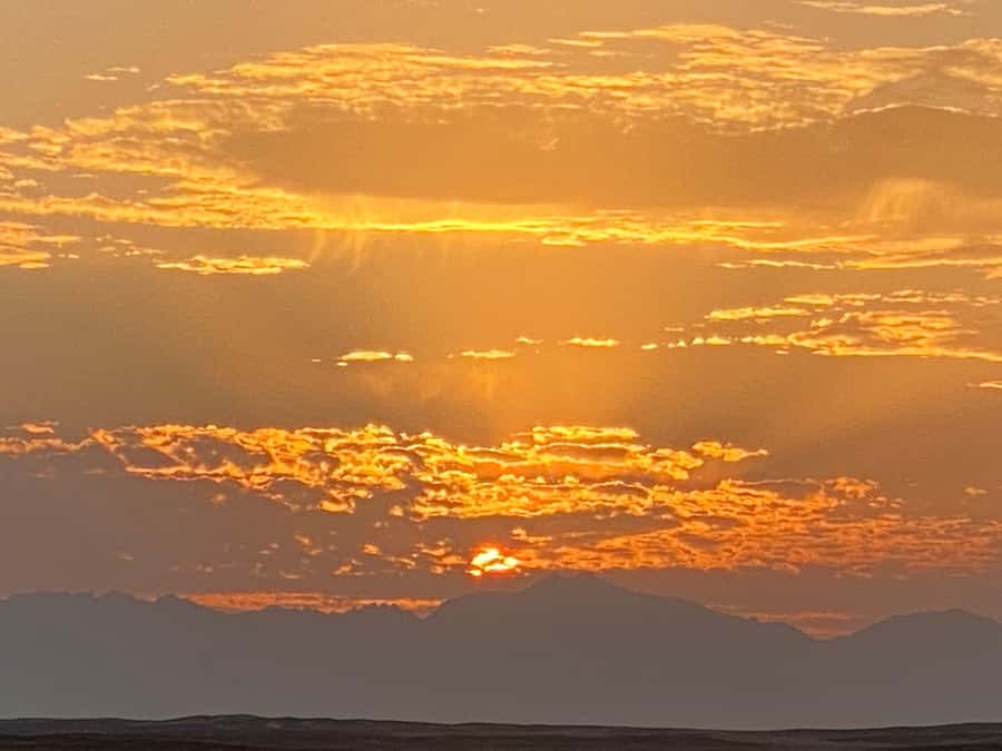 Hurghada: Sunset Camel Ride with Dinner - Quick Hits Before You Go