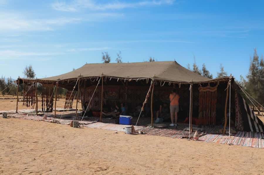 Hurghada: Sunset Camel Ride with Dinner - Price and Value: Is $52 a Fair Deal in Hurghada?