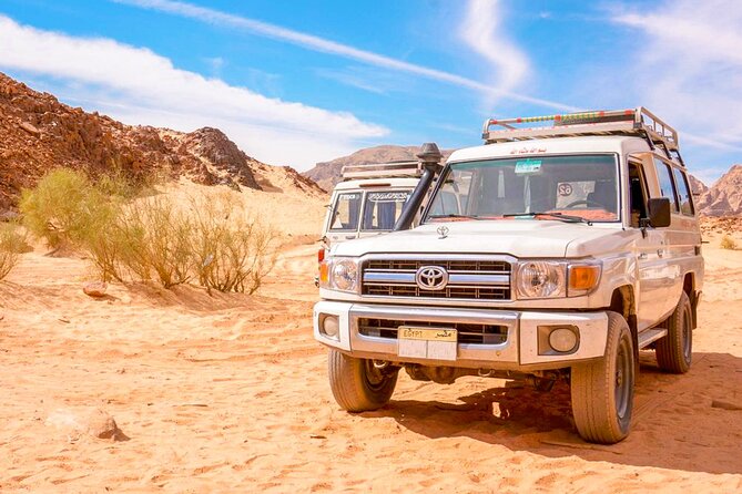 Hurghada Sunset Desert Experience, Bedouin Village & Mandi Dinner - Camel ride, scarf vibes, and the photo moment