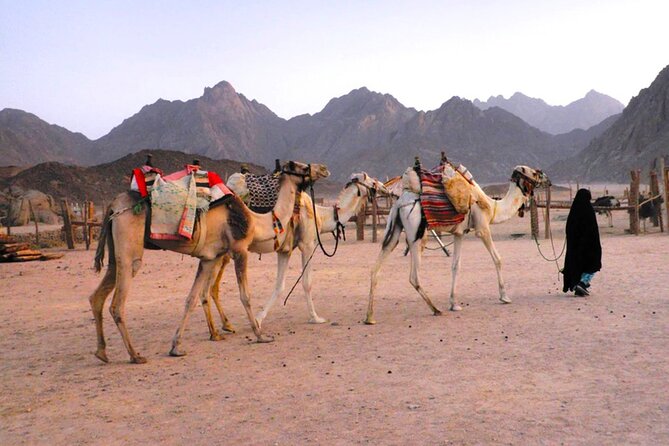 Hurghada Sunset Desert Experience, Bedouin Village & Mandi Dinner - Who this sunset desert safari fits best (and who might want a different option)