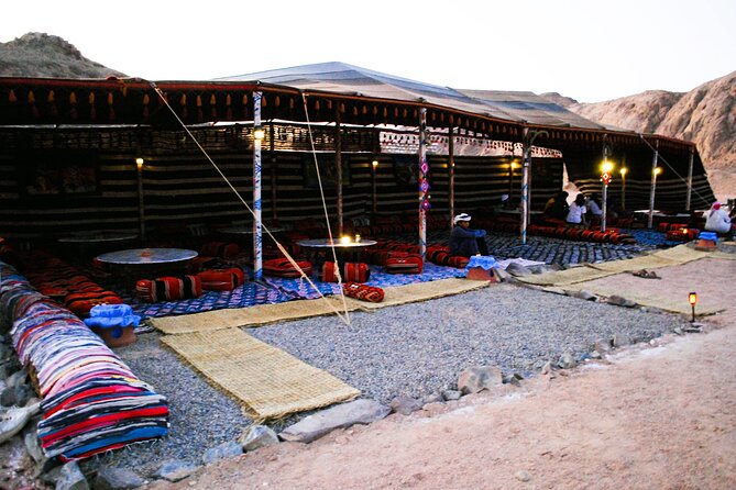 Hurghada Sunset Desert Experience, Bedouin Village & Mandi Dinner - Fossil coral viewpoint: ancient sea life in a place that looks dry