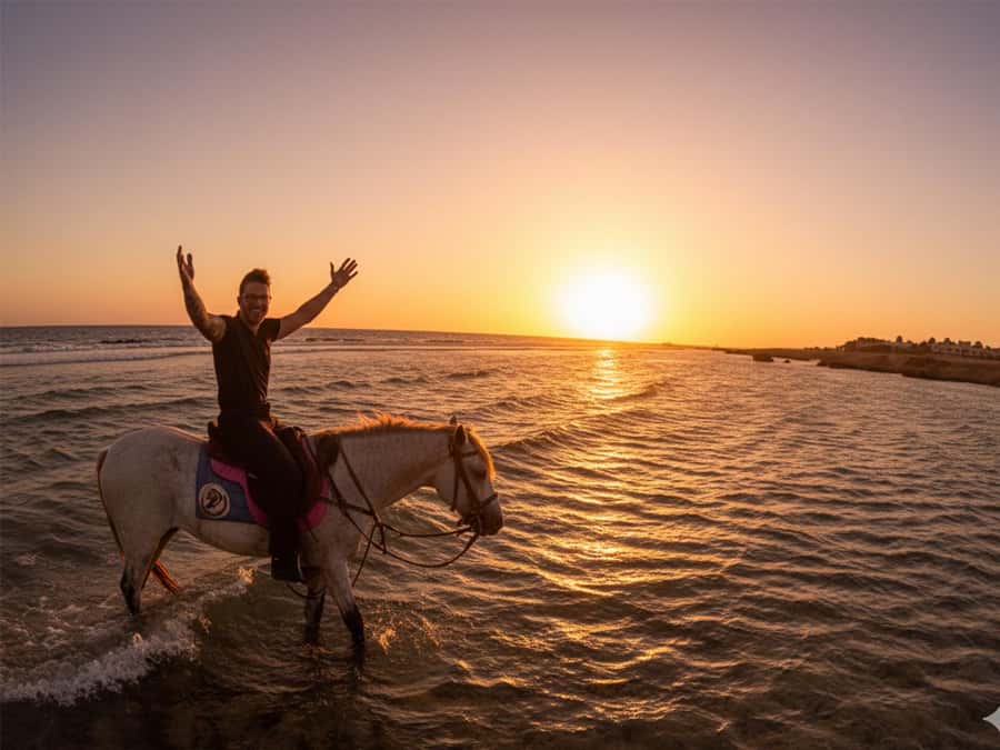 Hurghada: Sunset Sea, Desert Horse W Opt, Dinner, Stargazing - Key things to know before you go