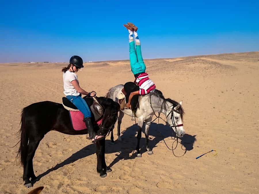Hurghada: Sunset Sea, Desert Horse W Opt, Dinner, Stargazing - Price and Value: Why $29 Can Still Make Sense