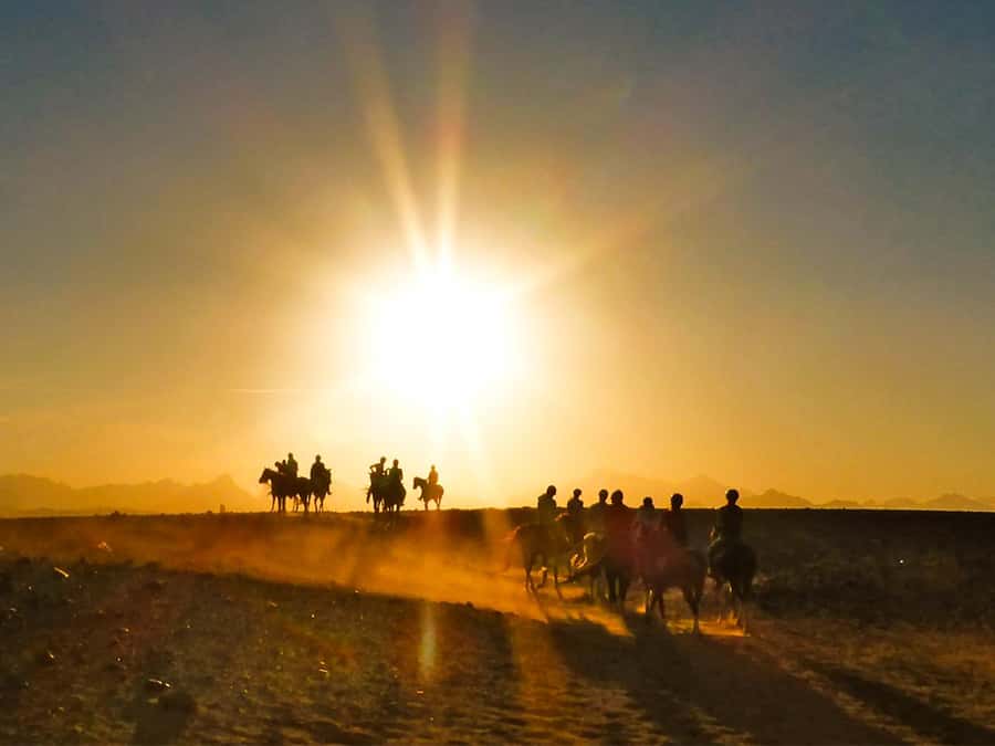 Hurghada: Sunset Sea, Desert Horse W Opt, Dinner, Stargazing - Sunset Horse Ride and Red Sea Cruise: What Makes This Combo Work
