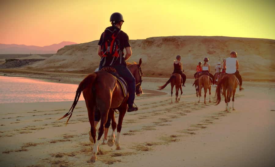 Hurghada: Sunset Sea, Desert Horse W Opt, Dinner, Stargazing - Red Sea at Sunset: Why the Sea Portion Feels Different