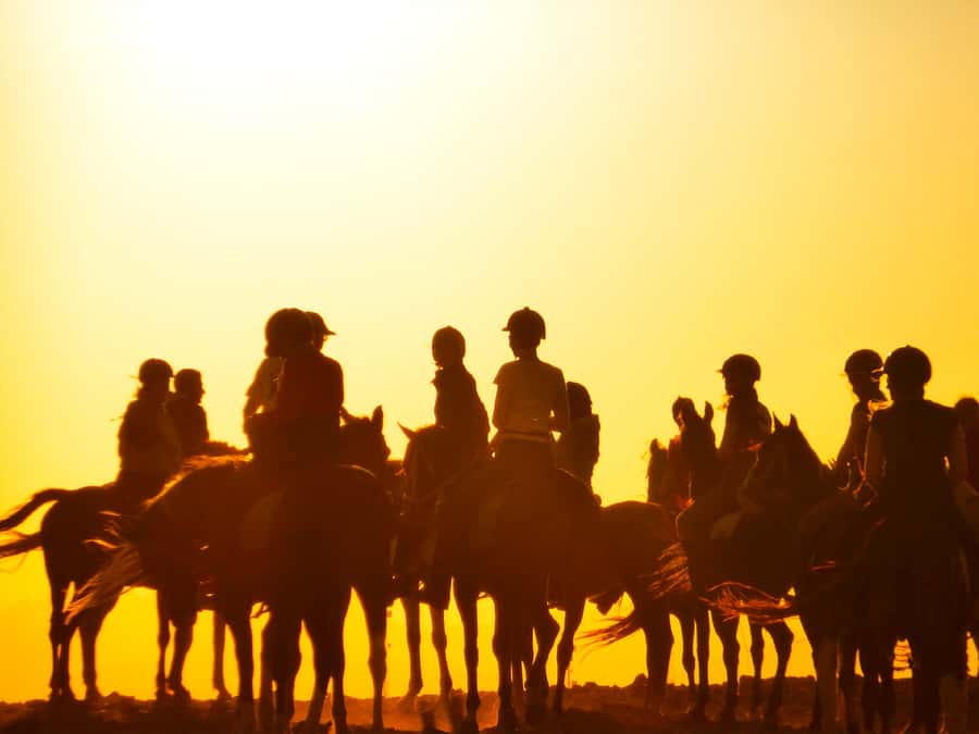 Hurghada: Sunset Sea, Desert Horse W Opt, Dinner, Stargazing - Sunrise Option with Breakfast: A Different Way to See the Same Area