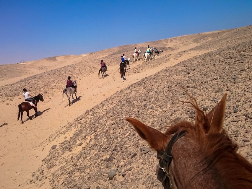 Hurghada: Sunset Sea, Desert Horse W Opt, Dinner, Stargazing - What to Bring (and What to Skip) for a Smooth Ride