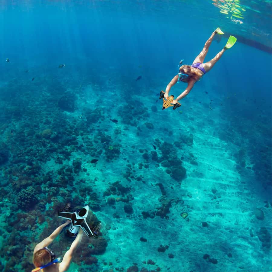 Hurghada: Water Sports, Banana Boat & Snorkeling Adventure - Optional dolphin search, lunch, and extra pickup zones