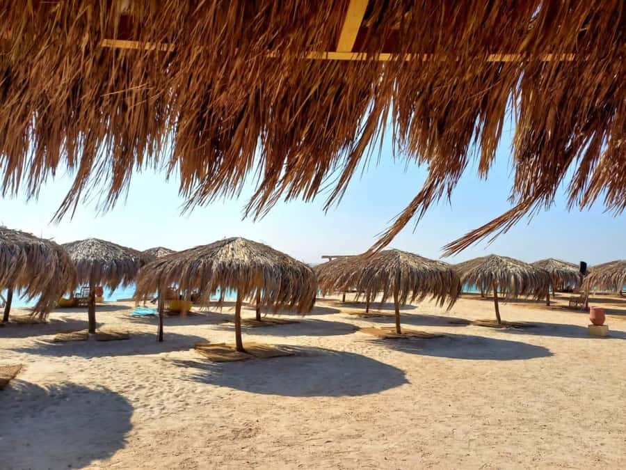 Hurghada: Yacht trip To Magawish island w Snorkeling & Lunch - Food and Drinks That Keep the Day Moving