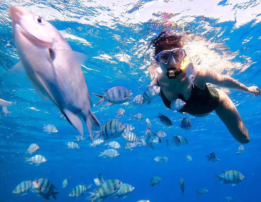 Hurghada:Eden Island Full-Day Trip with Water sports & Lunch - Snorkeling stops with mask, fins, snorkel and real guide support