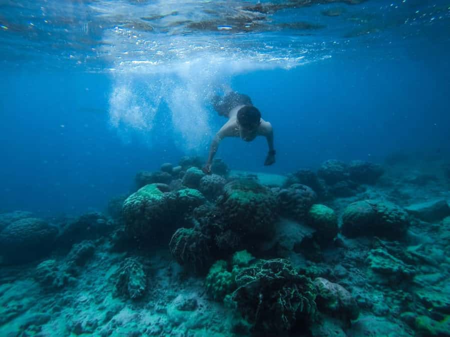 Hurghada:Luxury Diving & Snorkeling inc/Island/Lunch/Massage - Key moments you’ll remember