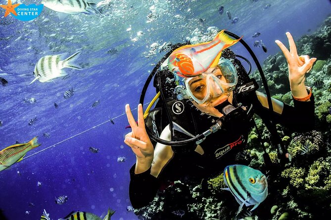 Intro and Professional Scuba Diving Cruise with Lunch in Hurghada - Quick hits before you go