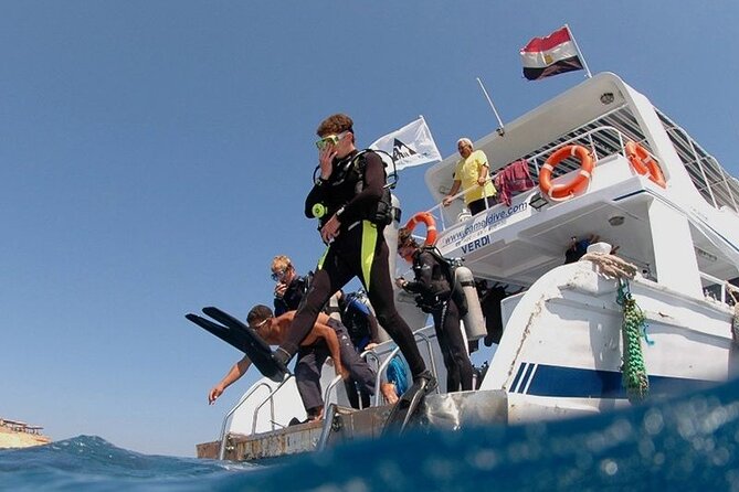 Intro and Professional Scuba Diving Cruise with Lunch in Hurghada - Hurghada Pick-Up at 8:00 and the Day’s Rhythm