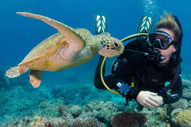 Intro and Professional Scuba Diving Cruise with Lunch in Hurghada - PADI Option: Extra $10 for Longer Sessions and Depth That Matches Your License