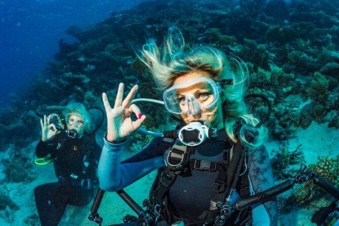 Intro and Professional Scuba Diving Cruise with Lunch in Hurghada - Snorkeling Stops and When They Make Sense