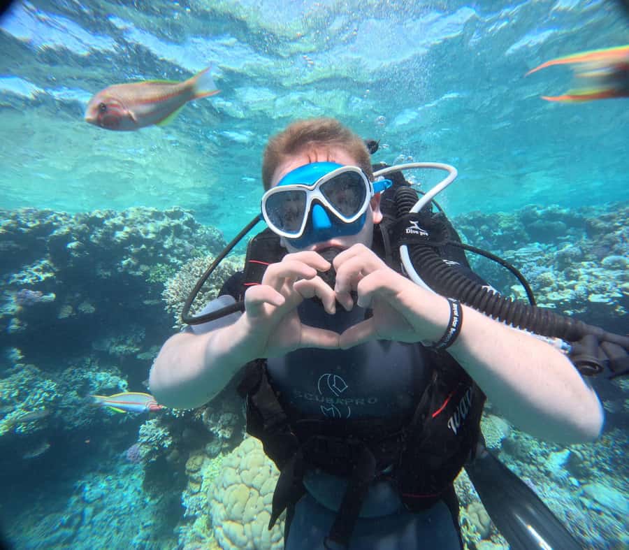 Intro Diving Beginner and Discover Red Sea Underwater - Hotel Pickup and Gear Fitting: The Part That Sets the Tone