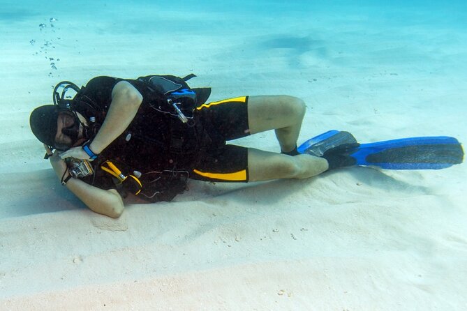 Intro Diving for Beginners 2 Stops Diving with Lunch - Hurghada - From 8:00 AM pickup to boarding in Hurghada