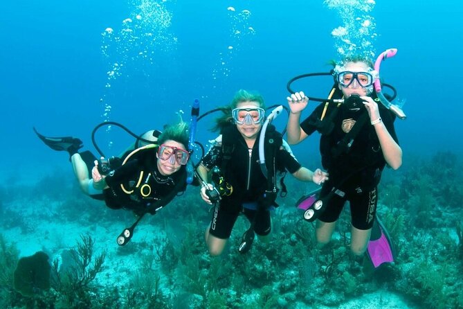 Intro Diving for Beginners 2 Stops Diving with Lunch - Hurghada - Two underwater sessions for beginners: coral, fish, and real guidance