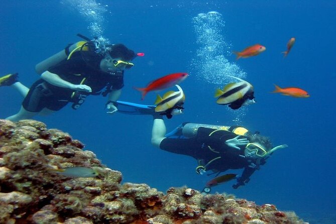 Intro Diving for Beginners 2 Stops Diving with Lunch - Hurghada - Lunch on board: the break that makes the whole day worth it