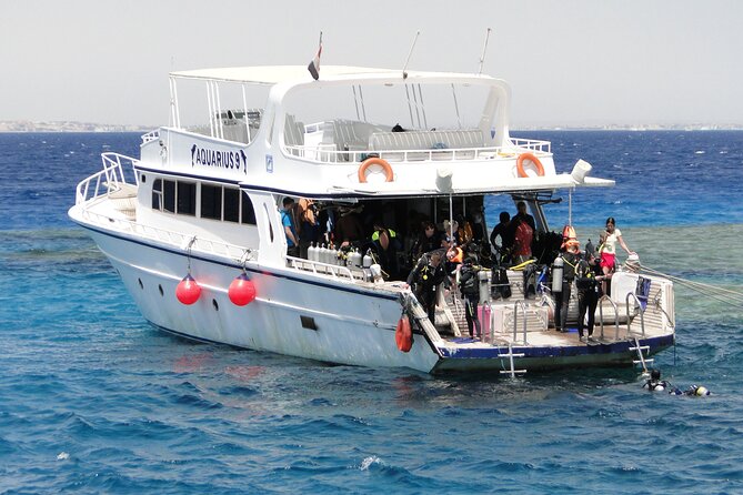 Intro Diving Full-Day Boat Trip, Lunch & Transfers - Hurghada - Key highlights to know before you go