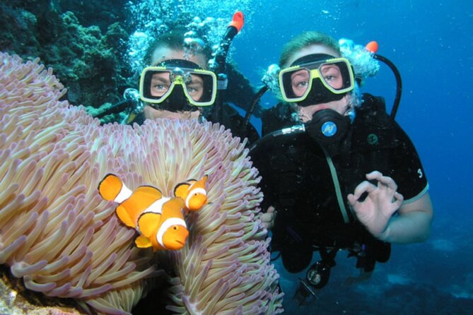 Intro Scuba Diving: 2 Dive Stops With Lunch & transfer - Hurghada - Price and Value: The 5 USD Starter Rate and the Extras to Know