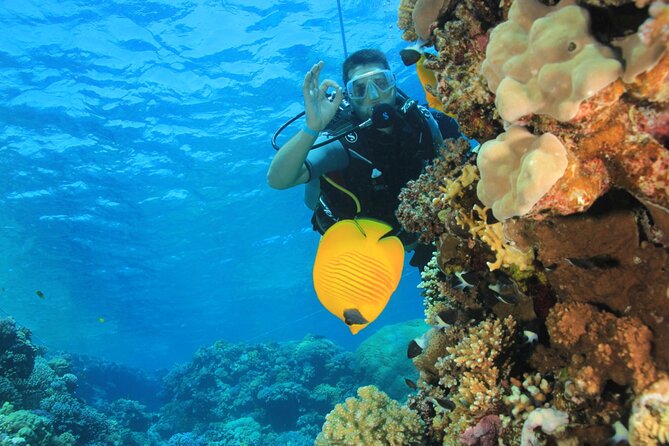 Intro Scuba Diving: 2 Dive Stops With Lunch & transfer - Hurghada - Who This Tour Suits Best