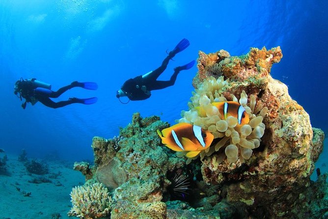 Intro Scuba Diving 2 Stops Trip with Transfers & Lunch - Hurghada - Key things to know before you go