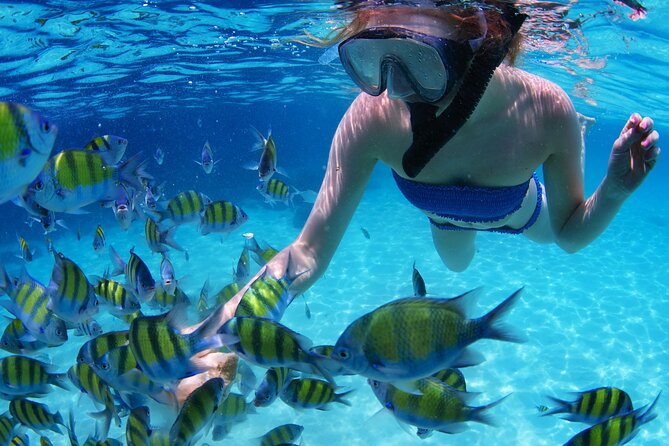 Intro Scuba Diving 2 Stops Trip with Transfers & Lunch - Hurghada - Your first underwater session: guidance, fish, and expectations