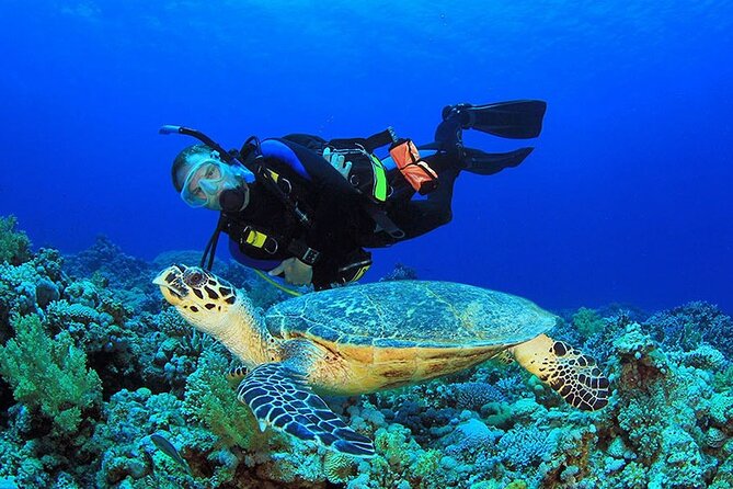 Intro Scuba Diving 2 Stops Trip with Transfers & Lunch - Hurghada - Value check: how $18.05 stacks up (and what costs extra)